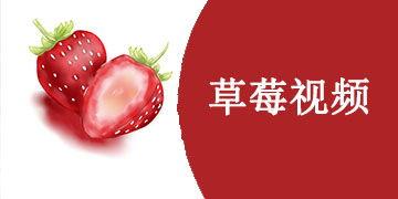 草莓国产视频,探寻本土草莓种植的魅力与风采
